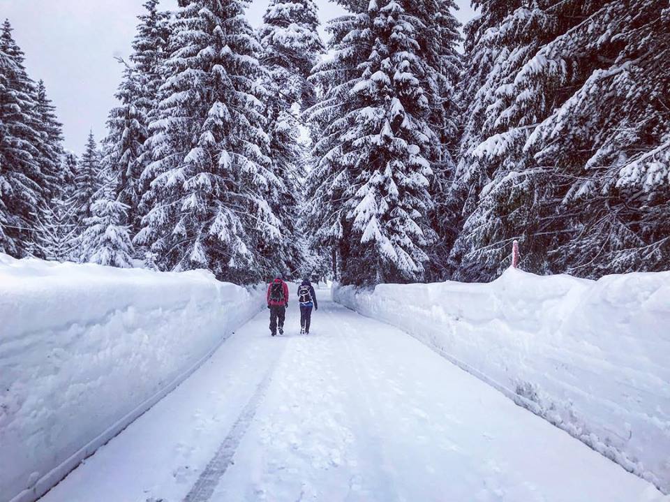 Geht nur selten in den Alpen - aber sehr gut im Karwendel: Winter Weitwandern!