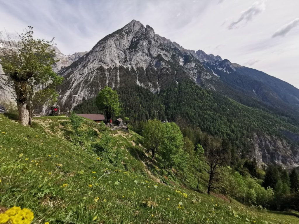 Die Gan Alm mit dem imposanten Karwendelgebirge