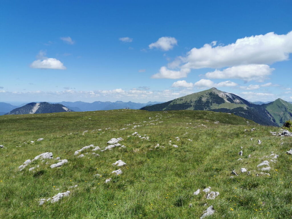 Vorderskopf - diese riesige Wiese am Gipfel ist einzigartig im ganzen Karwendelgebirge